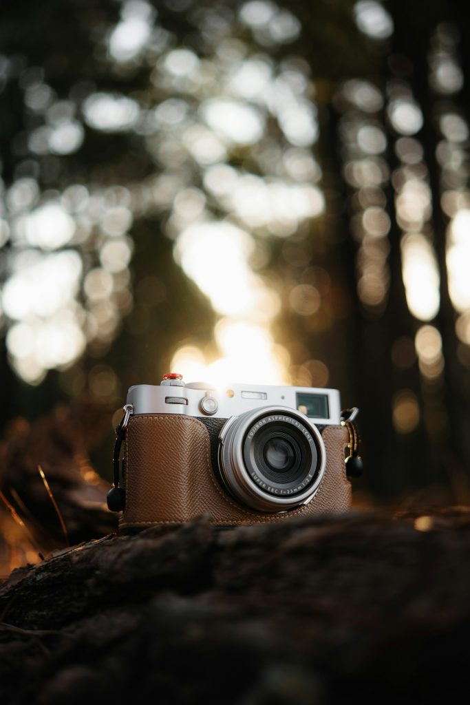 Camera in a leather carrying case