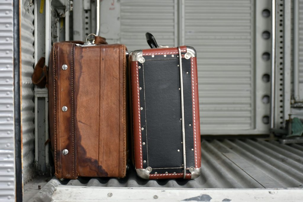 Pair of travelling cases